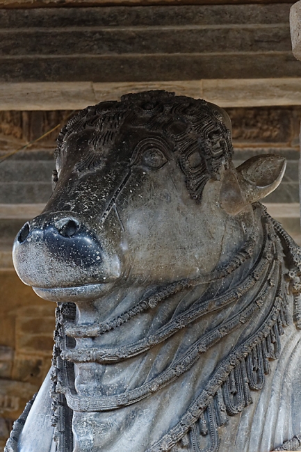 Halebid-Temple de Vishnou-021